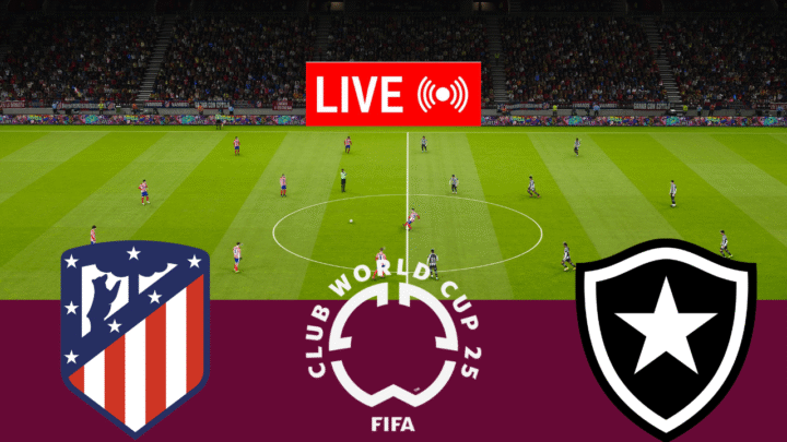 Atletico Madrid vs Botafogo